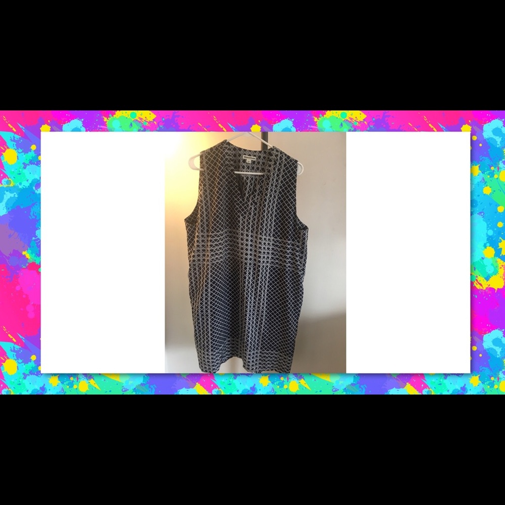 Whistles shirt Dress